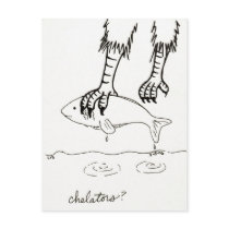 Chelators postcard postcards
