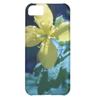 Chelidonium Cover For iPhone 5C