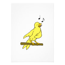 Chella Canary Personalized Announcement