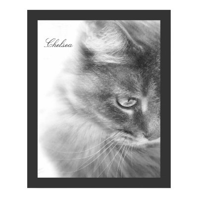 "Chelsea" Cat Portrait Poster by RLMdesignes