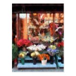 Chelsea Flower Shop Post Card