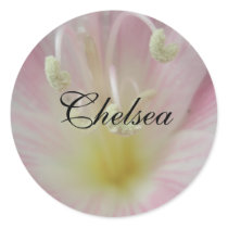 Chelsea stickers