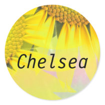 Chelsea stickers
