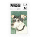 Chelsea Toy Fox Terrier postage