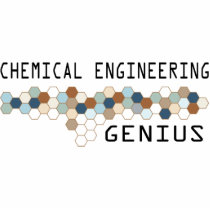 Chemical Engineering Genius photo sculptures