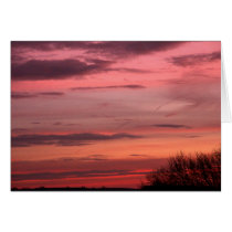 Chemical skies 4 cards