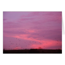 Chemical skies 5 cards