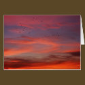 Chemical skies 6 cards by MDB_ Chemical skies 6 cards