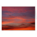 Chemical skies 6 cards