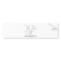 Chemical Structure Of RNA (Molecular Structure) Bumper Stickers