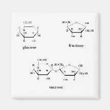 chemical struture for different sugars refrigerator magnet