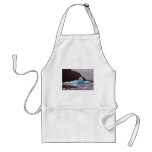 Chenega ice aprons