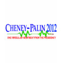 Cheney Palin 2012 t-shirts