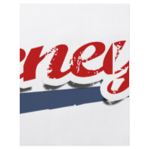 Cheney Team Flyer