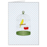 Chenna Canary Greeting Cards