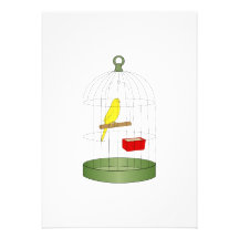 Chenna Canary Invitation