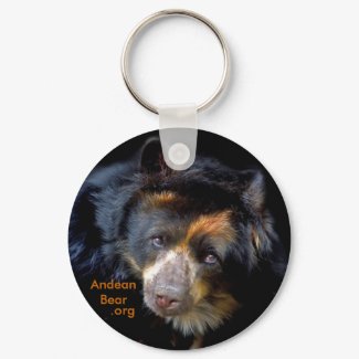 Andean bear keychain
