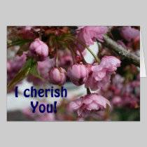Cherish You cards