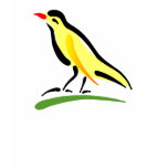 Chernell Canary Shirt