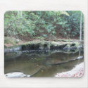 Cherokee Nat. Forest TN Bald River Monroe County mousepads