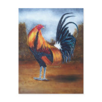 Cherokee-Rooster Postcard