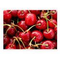 Cherries Postcard