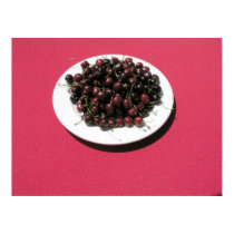 Cherries posters by photoslot Cherries posters