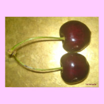 Cherries posters