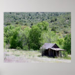 Cherry Arizona Print