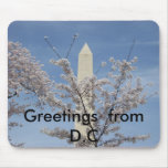 cherry blossem Greetings  from D.C mousepads