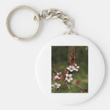 Cherry Blossom 2 Key Chains