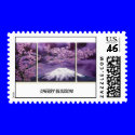 Cherry Blossom And Fuji Mountain postage