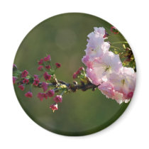 Cherry blossom and meaning magnets