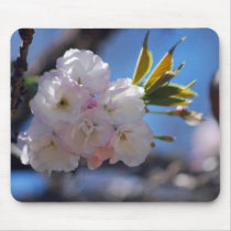 Cherry blossom and meaning mouse pads