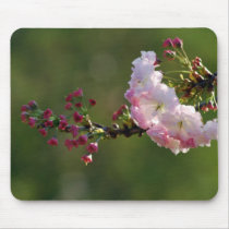 Cherry blossom and meaning mouse pads