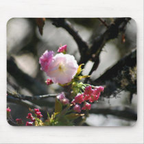 Cherry blossom and meaning mousepads