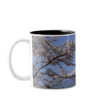 Cherry Blossom and Mt. Fuji 2 Mugs