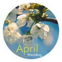 Cherry Blossom • April Wedding Sticker