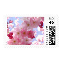 Cherry Blossom Beauty postage