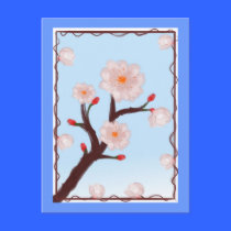 Cherry Blossom Blooms Postcard postcards