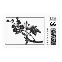 Cherry Blossom Branch in black postage