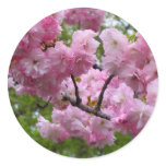 Cherry blossom branch round sticker