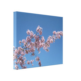 Cherry Blossom Branch Wrapped Canvases wrappedcanvas