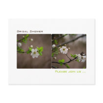 Cherry Blossom • Bridal Shower Invitation Postcard