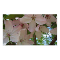 Cherry Blossom Business Card