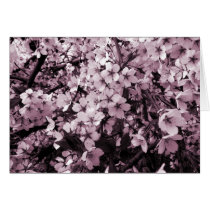 Cherry Blossom Cards