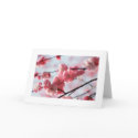 Cherry Blossom Card For any Occasion by forbes1954 Cherry Blossom Card For any Occasion