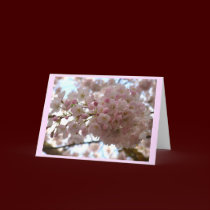 Cherry Blossom Card White Blossom Card Personalize cards