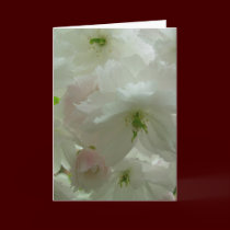 Cherry Blossom Card White Blossom Card Personalize cards