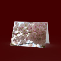 Cherry Blossom Card White Blossom Card Personalize cards